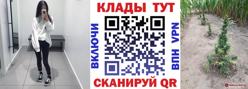 Наркошоп Кущёвская КОКАИН  МАРИХУАНА  Меф  МЕТАДОН  ГАШИШ  Alpha-PVP 